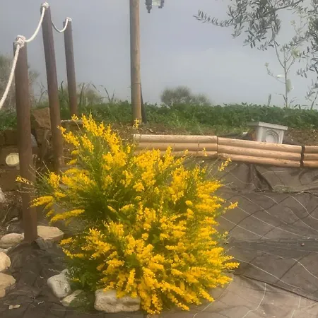 Дом отдыха Tenuta Di Carlo