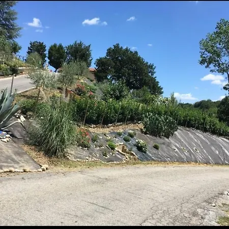 Tenuta Di Carlo